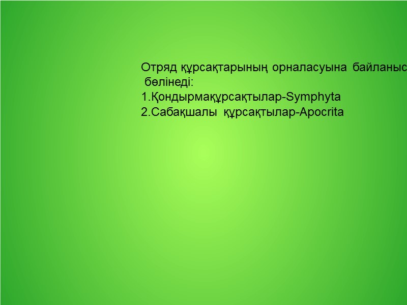 Отряд құрсақтарының орналасуына байланысты 2 отряд тармағына  бөлінеді: 1.Қондырмақұрсақтылар-Symphyta 2.Сабақшалы құрсақтылар-Apocrita